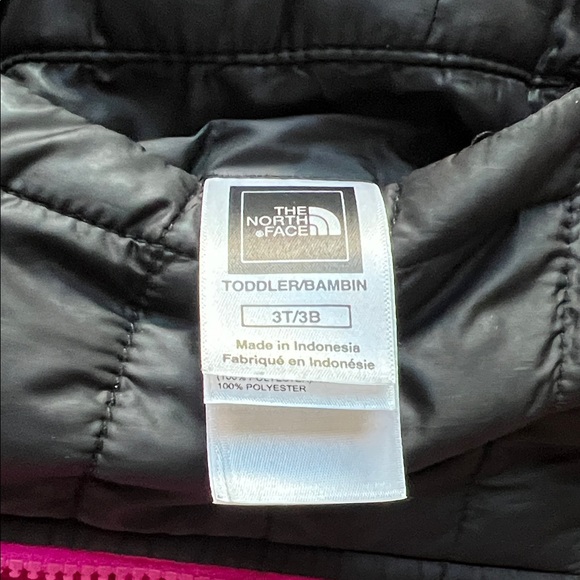 The North Face Black Jacket with Pink Trim - REVERSIBLE MOSS BUD - 3T - Picture 11 of 11